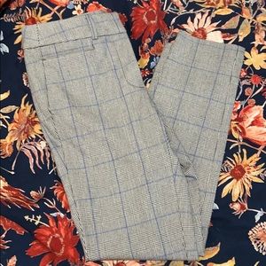 NWT Loft High waisted Petite pant